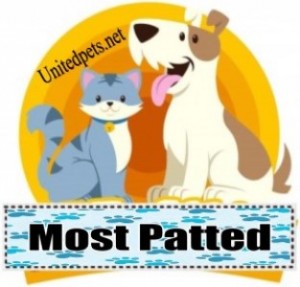 a most patted award